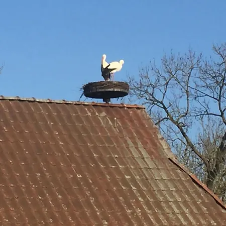 Remise Unter Dem Storchennest * Lemwerder